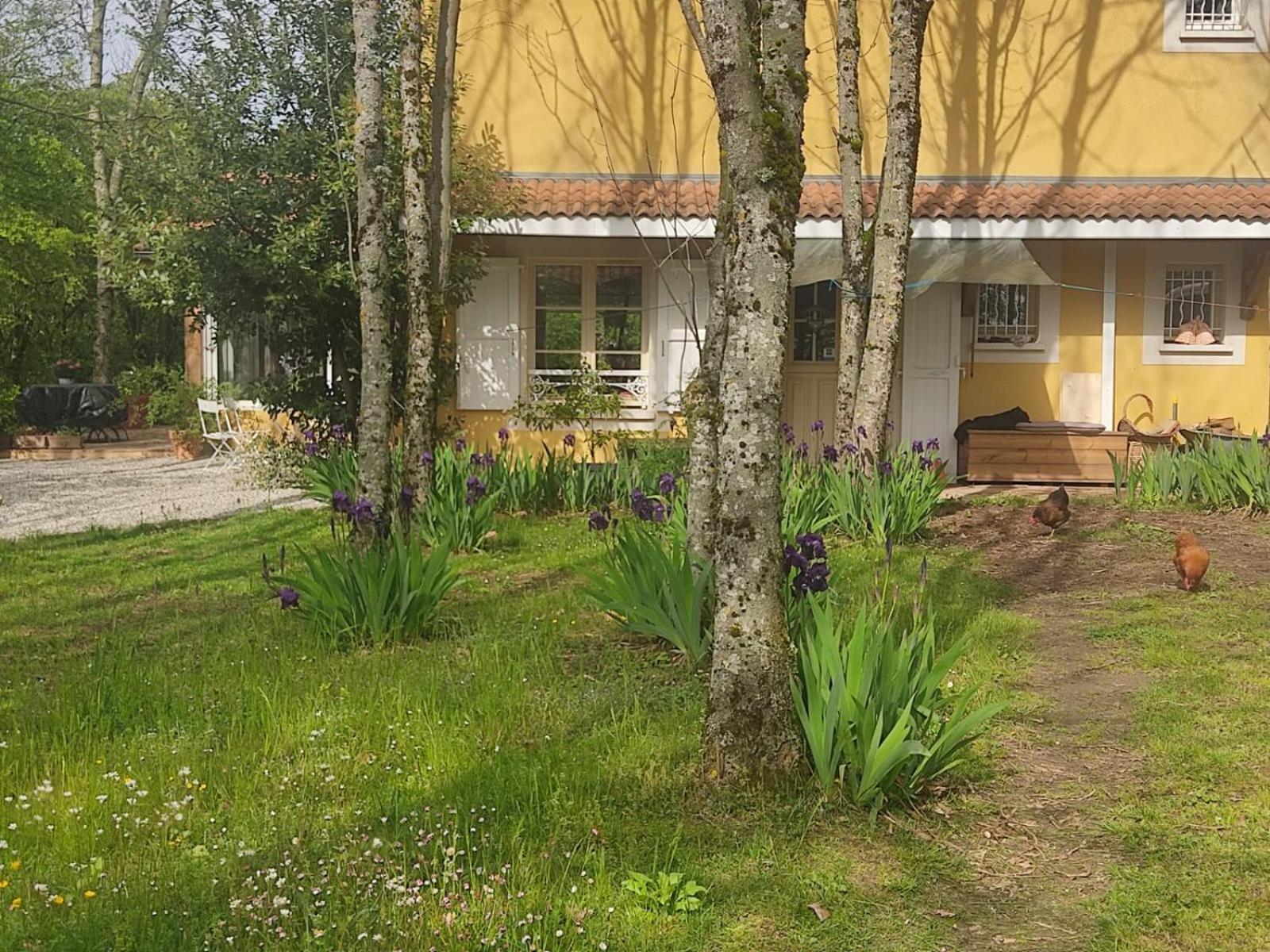 La Frenaie Acomodação com café da manhã Saint-Cyr-sur-le-Rhone Exterior foto